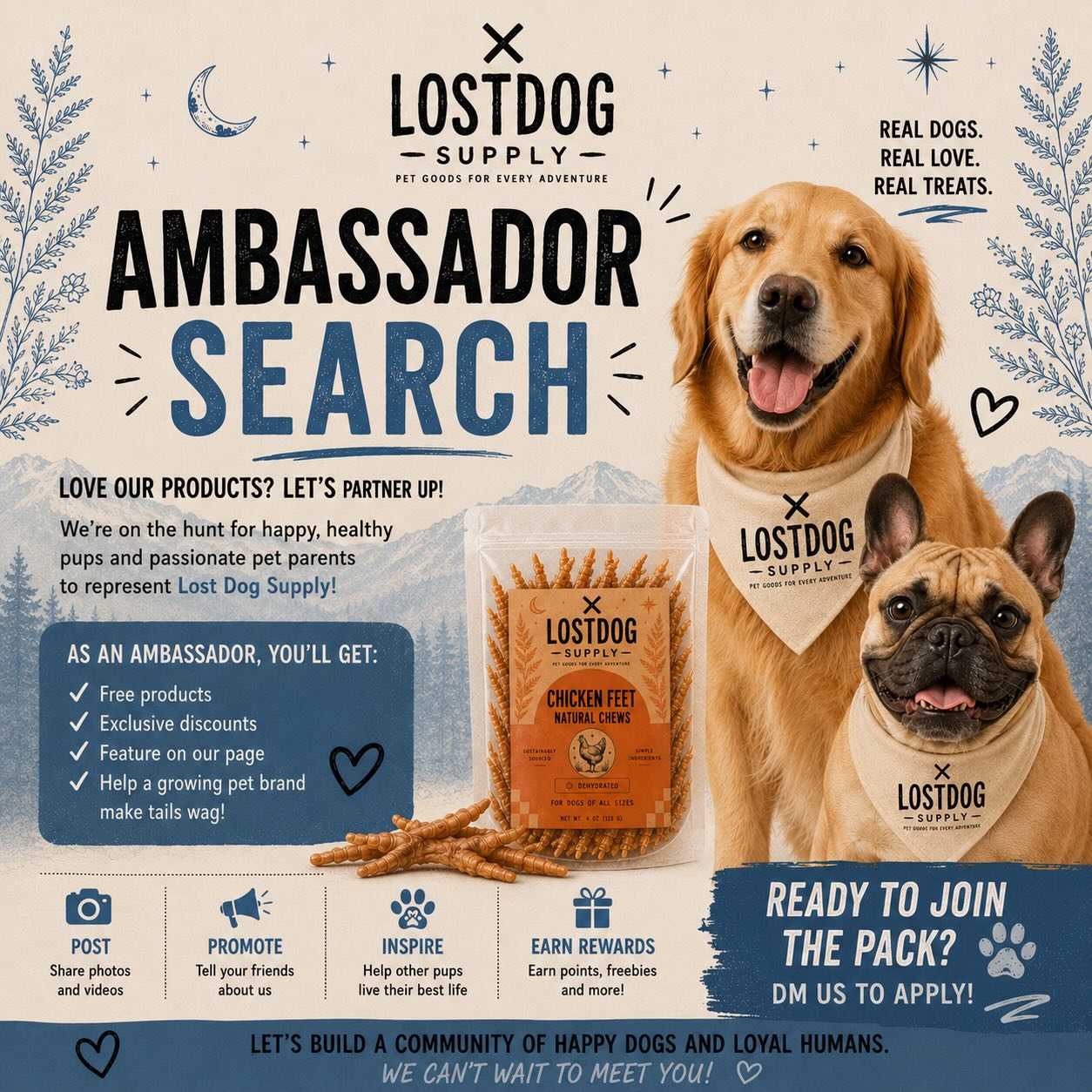 AMBASSADOR SEARCH