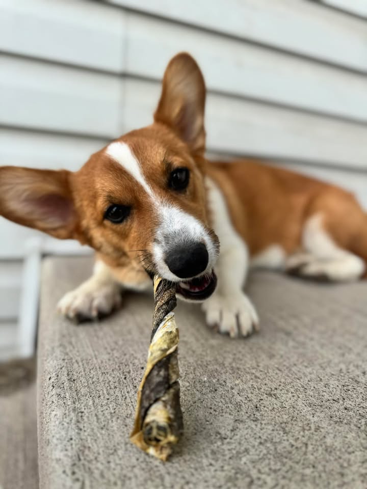 Wild Caught Codfish Skin Twists Dog Treats