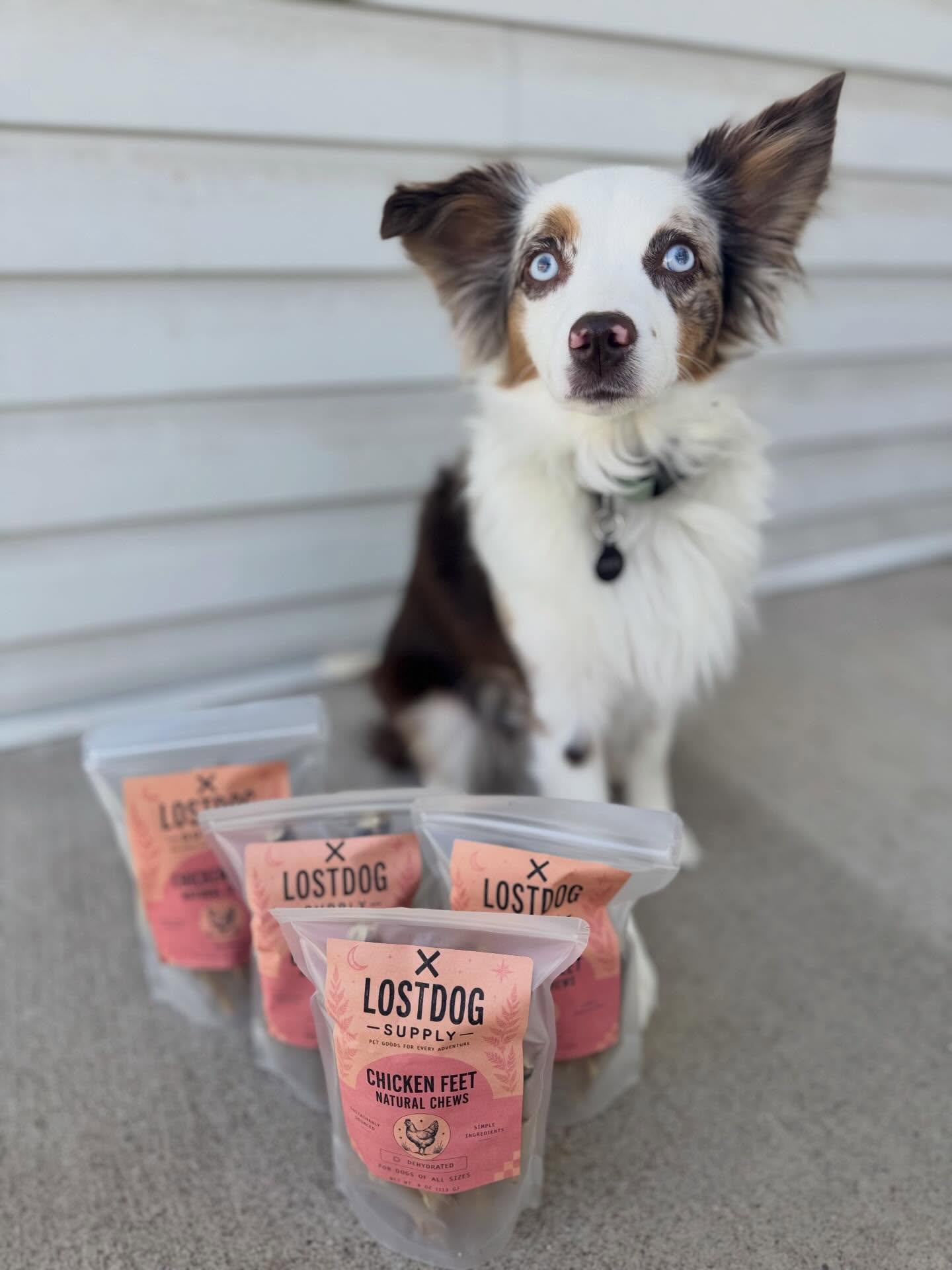 Chicken Feet Dog Treats